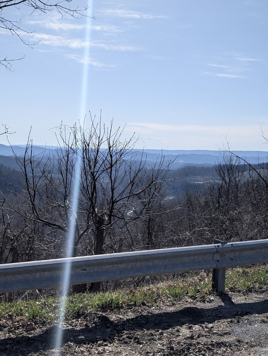 Wrong Turn Pizza And Subs Photos 2